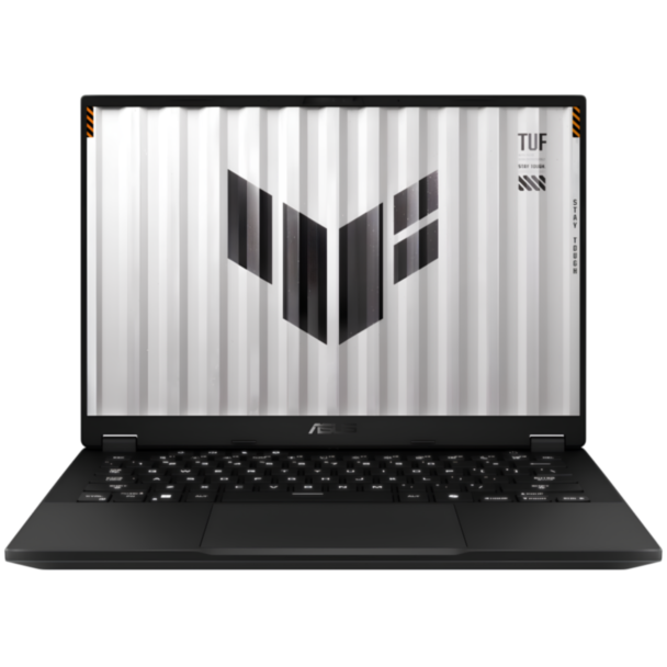 Ноутбук Asus TUF FA401UU-RG074 (90NR0JD1-M004E0)